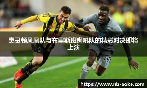 惠灵顿凤凰队与布里斯班狮吼队的精彩对决即将上演